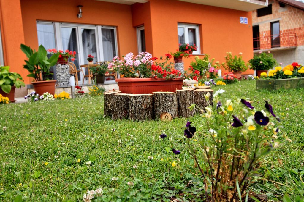 Vila Julija - Apartment & Rooms Otočac Exteriör bild